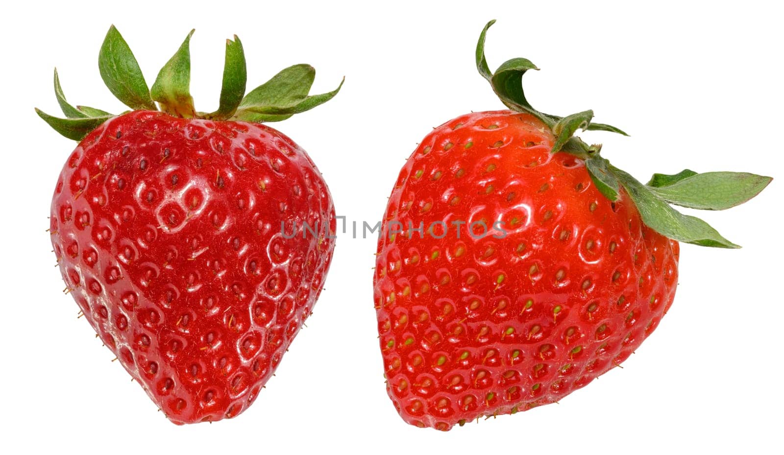 Red ripe strawberry with small yellow seeds and fresh green leaves, isolated background. Set