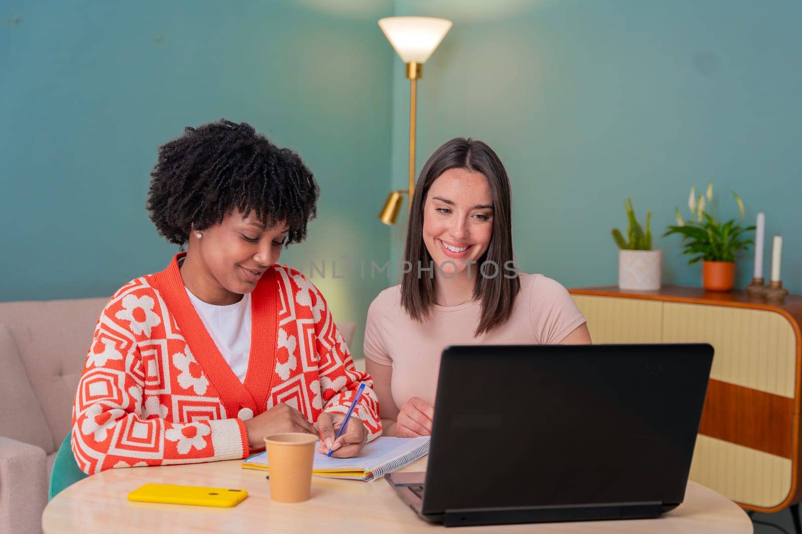 Caucasian and African American students work together using a laptop and notebook. Focused and cheerful, they collaborate in a cozy indoor space, representing learning, diversity, and teamwork.