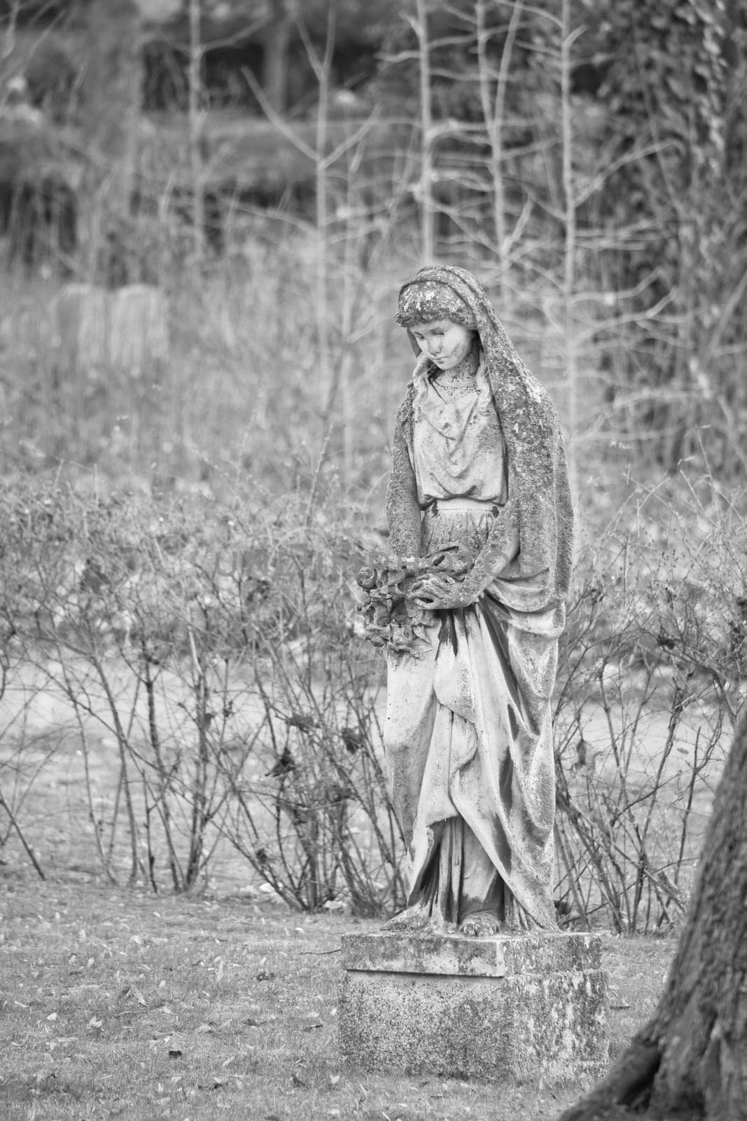 In black and white, moss-covered female statue with headscarf, surrounded by wild plants. The elegant sculpture holds flowers and stands in an enchanted garden. Mystical atmosphere.