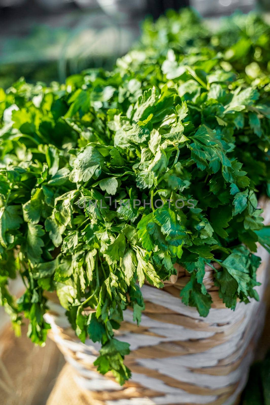 greens, parsley, greens in a basket, fresh parsley, at the market, greens on a store shelf, vitamins, seasoning, cook, kitchen, restaurant, food, healthy eating, health, dish, market.