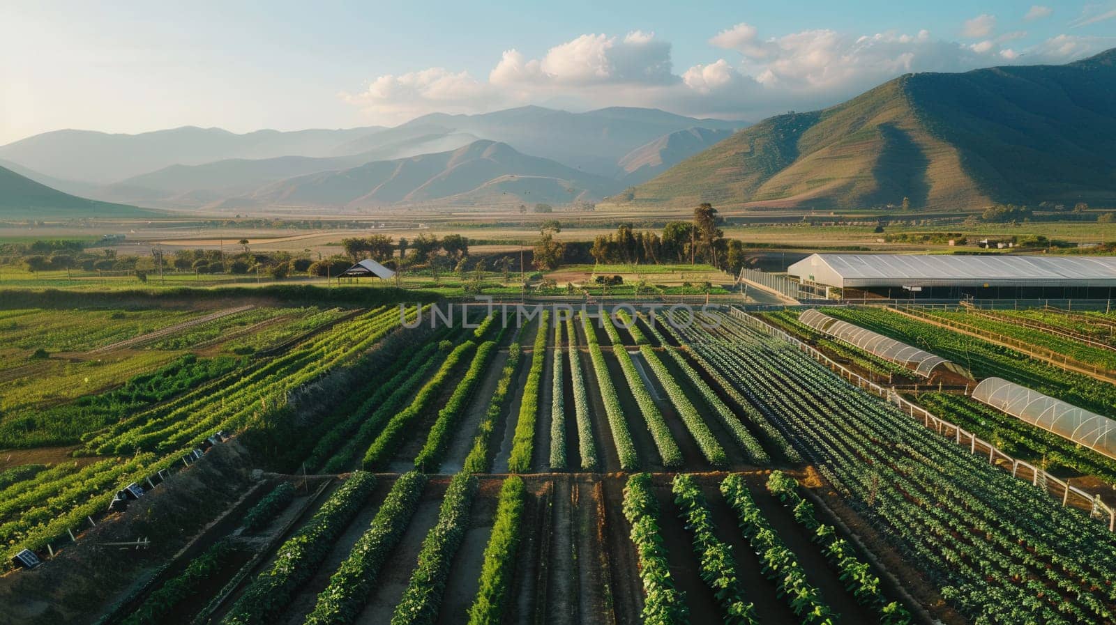 massive industrial permaculture farming project drone footage
