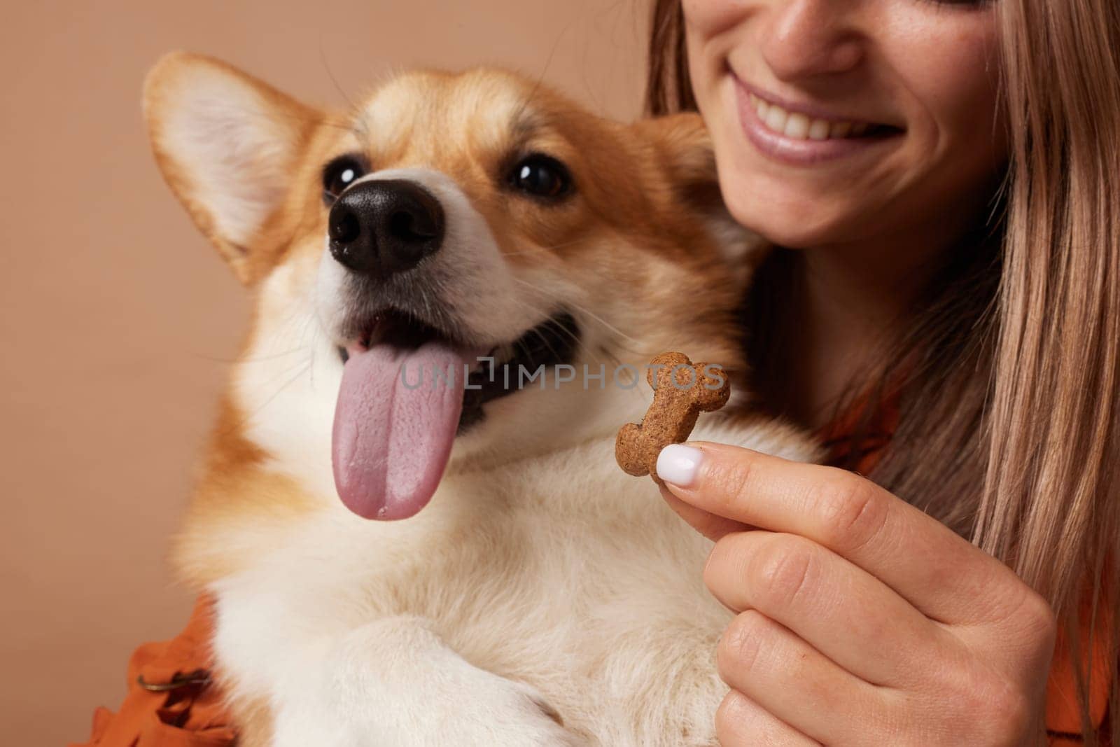 Close-up of a happy Corgi dog eagerly waiting for a bone-shaped treat held by smiling woman, joyful pet moment.
