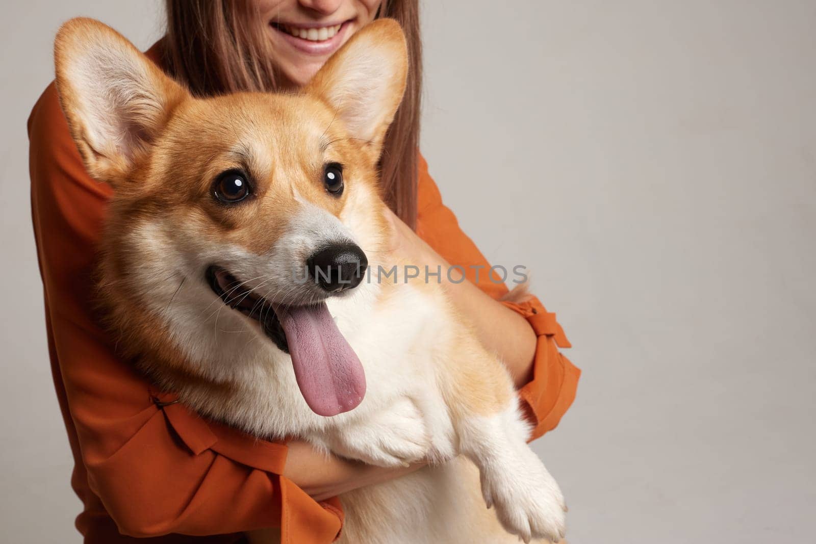 Close-up of a smiling Corgi dog with tongue out, held by happy young woman, isolated on light studio background.