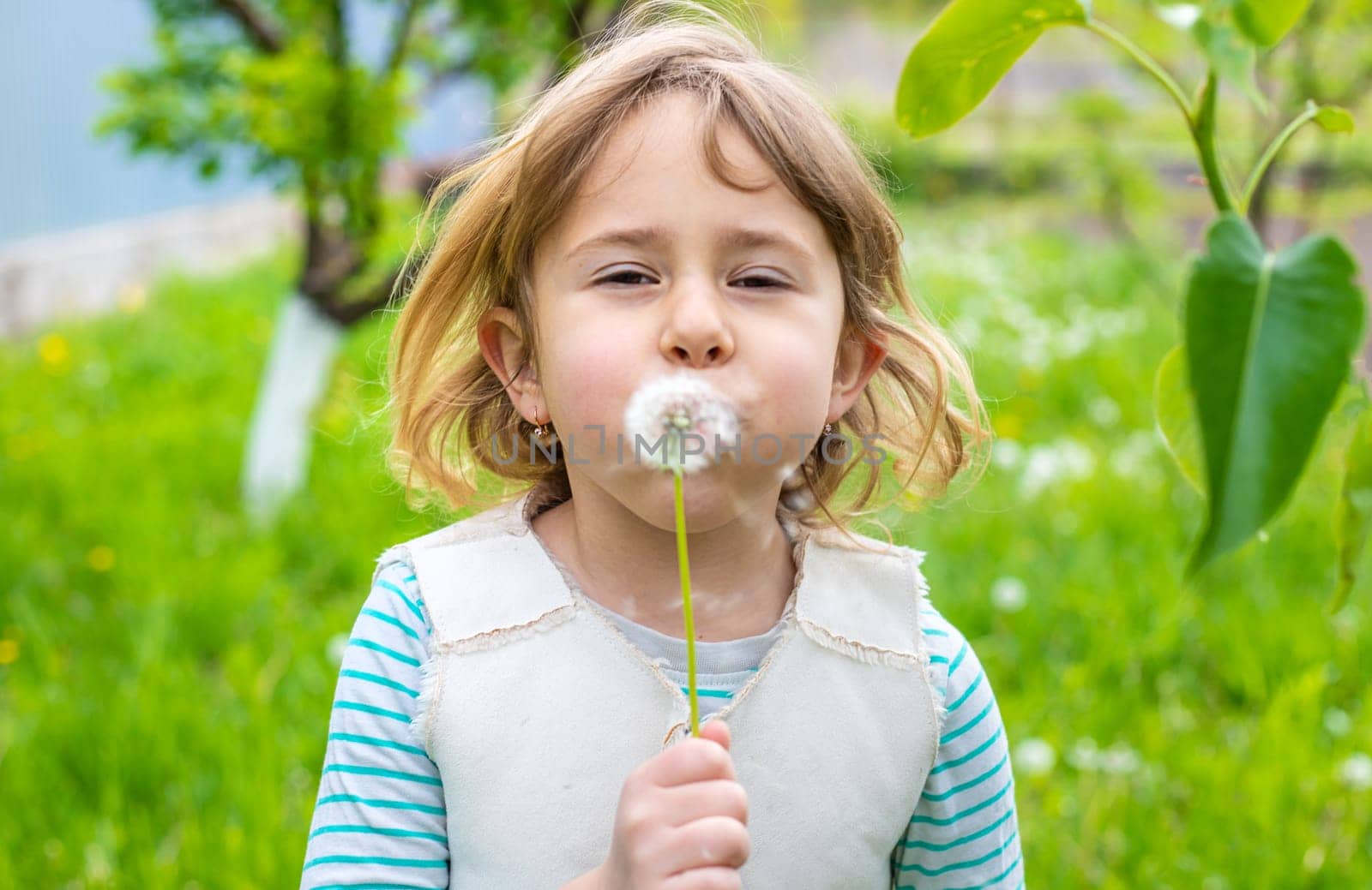 Child blowing dandelion in park. Selective focus. Allergy Kid.