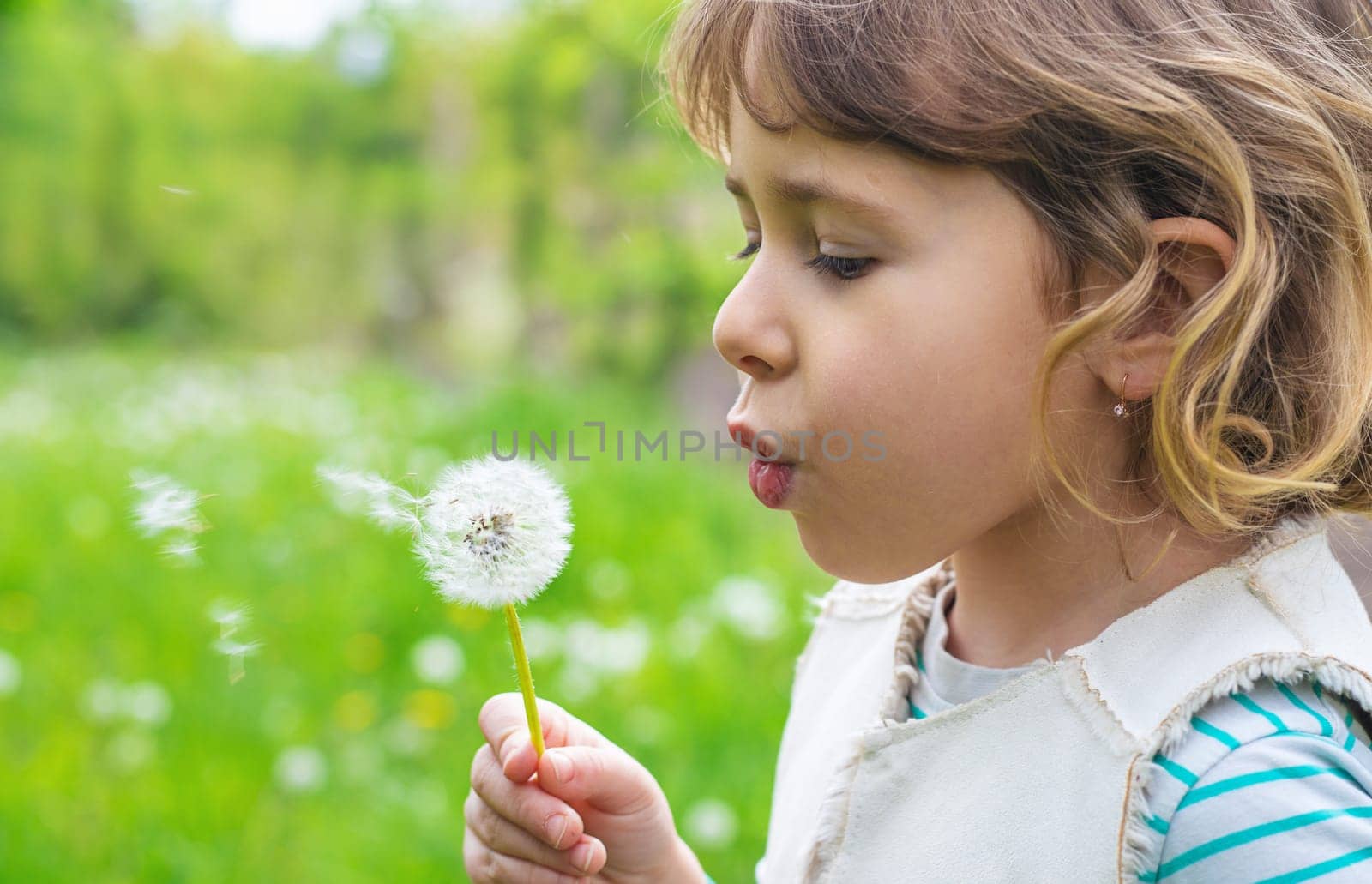 Child blowing dandelion in park. Selective focus. Allergy Kid.