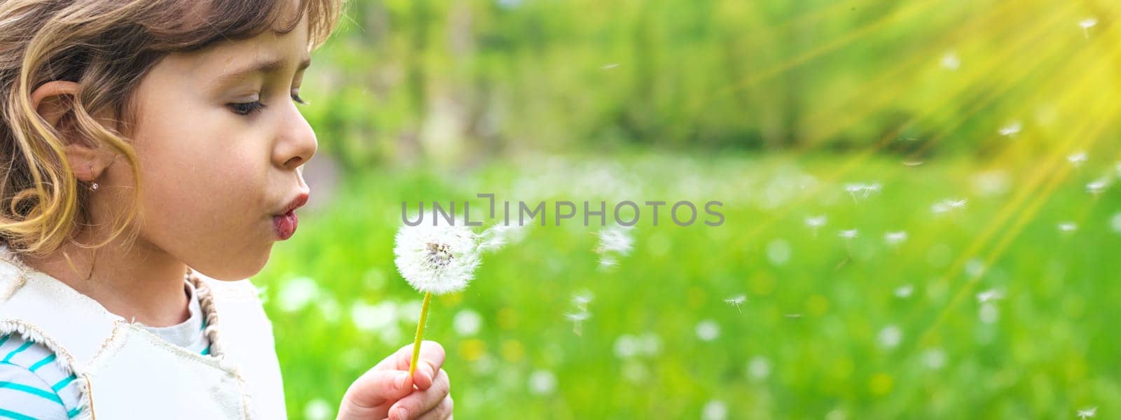 Child blowing dandelion in park. Selective focus. Allergy Kid.