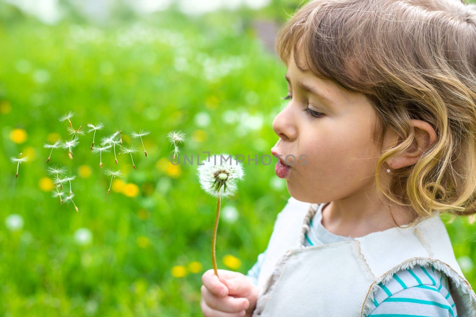 Child blowing dandelion in park. Selective focus. Allergy Kid.