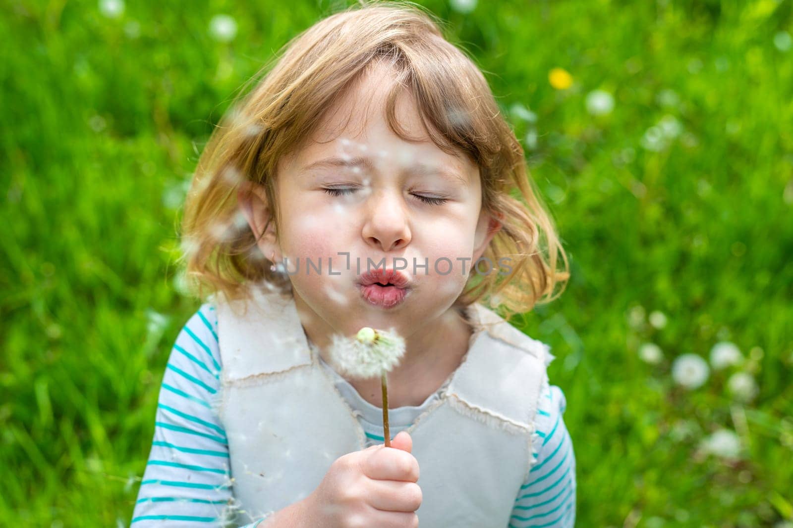 Child blowing dandelion in park. Selective focus. Allergy Kid.