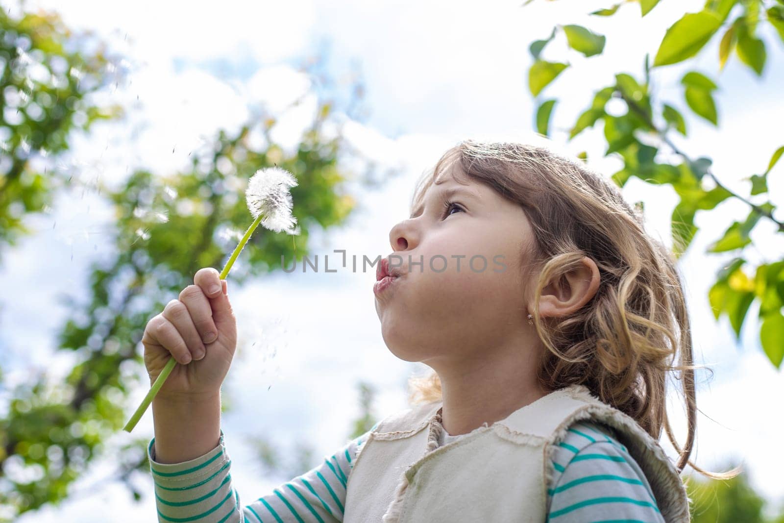 Child blowing dandelion in park. Selective focus. Allergy Kid.