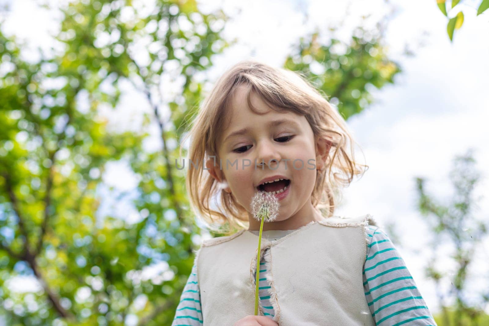 Child blowing dandelion in park. Selective focus. Allergy Kid.