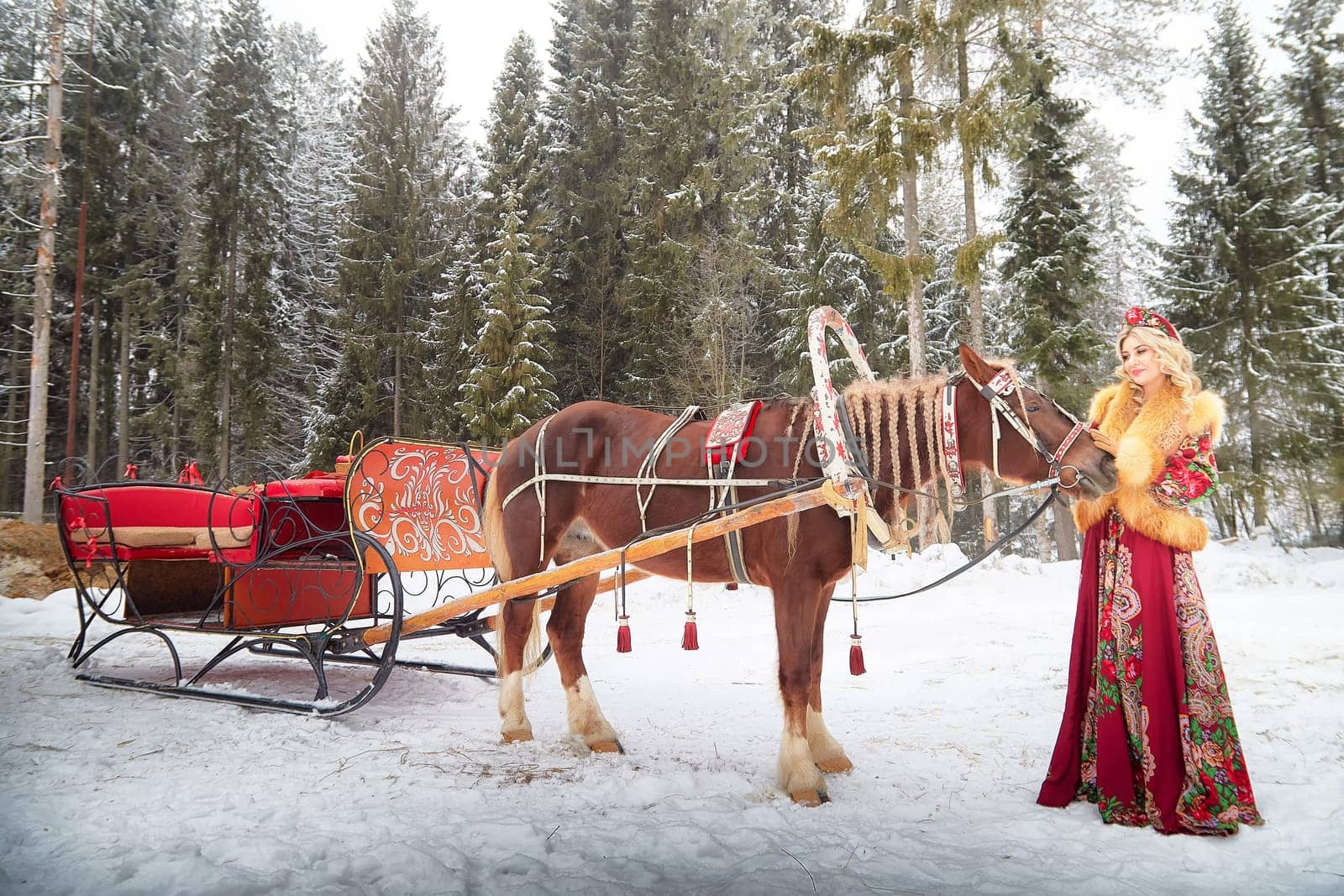 Russian girl in a vibrant national outfit poses with a horse and sled, celebrating Maslenitsa in winter.