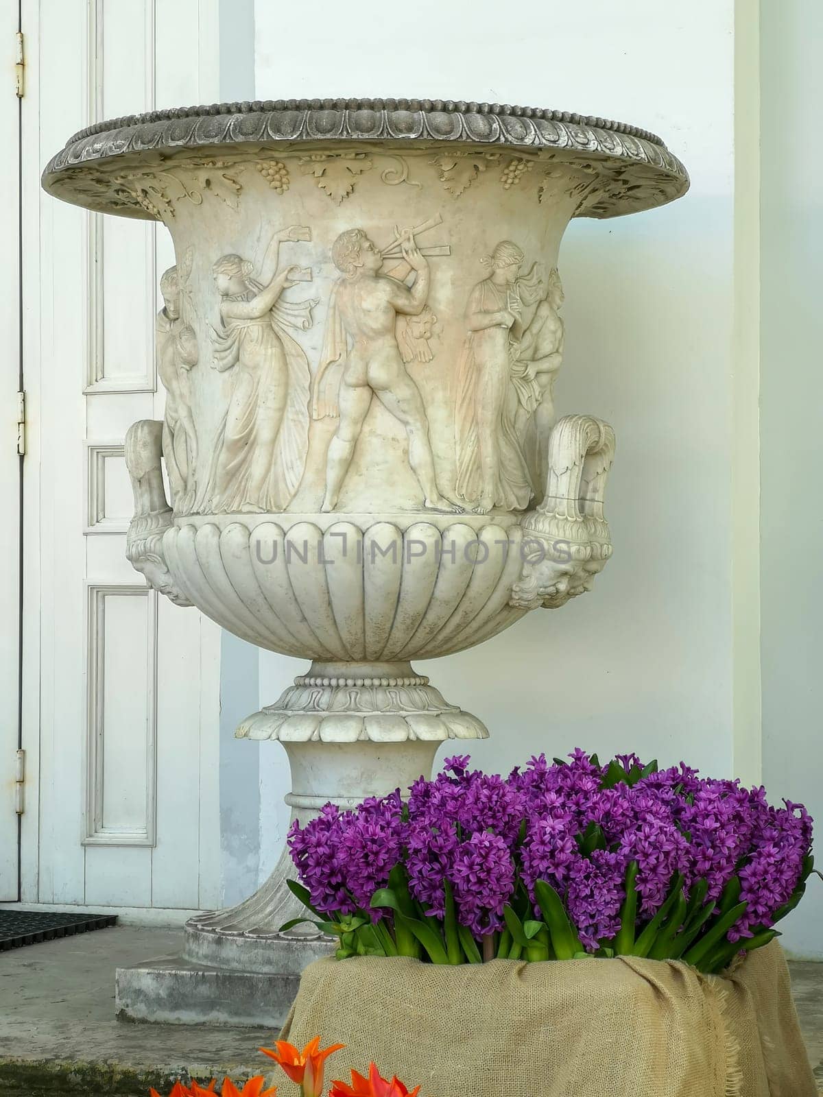 Saint Petersburg, Russia - 05.18.24. Large ornate marble vase with intricate classical reliefs, featuring human figures and designs, adorned with vibrant purple flowers below. Shot on a smartphone.