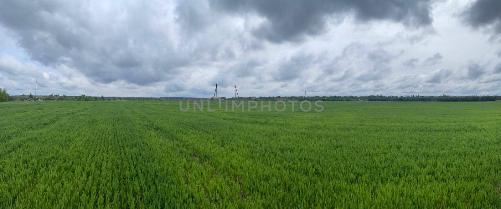 Wide green grass field stretching into the distance under a clear blue sky.