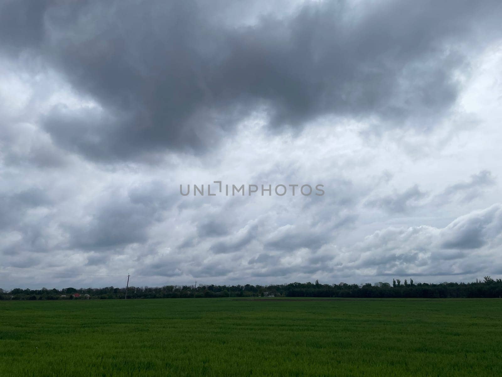 Wide green grass field stretching into the distance under a clear blue sky.