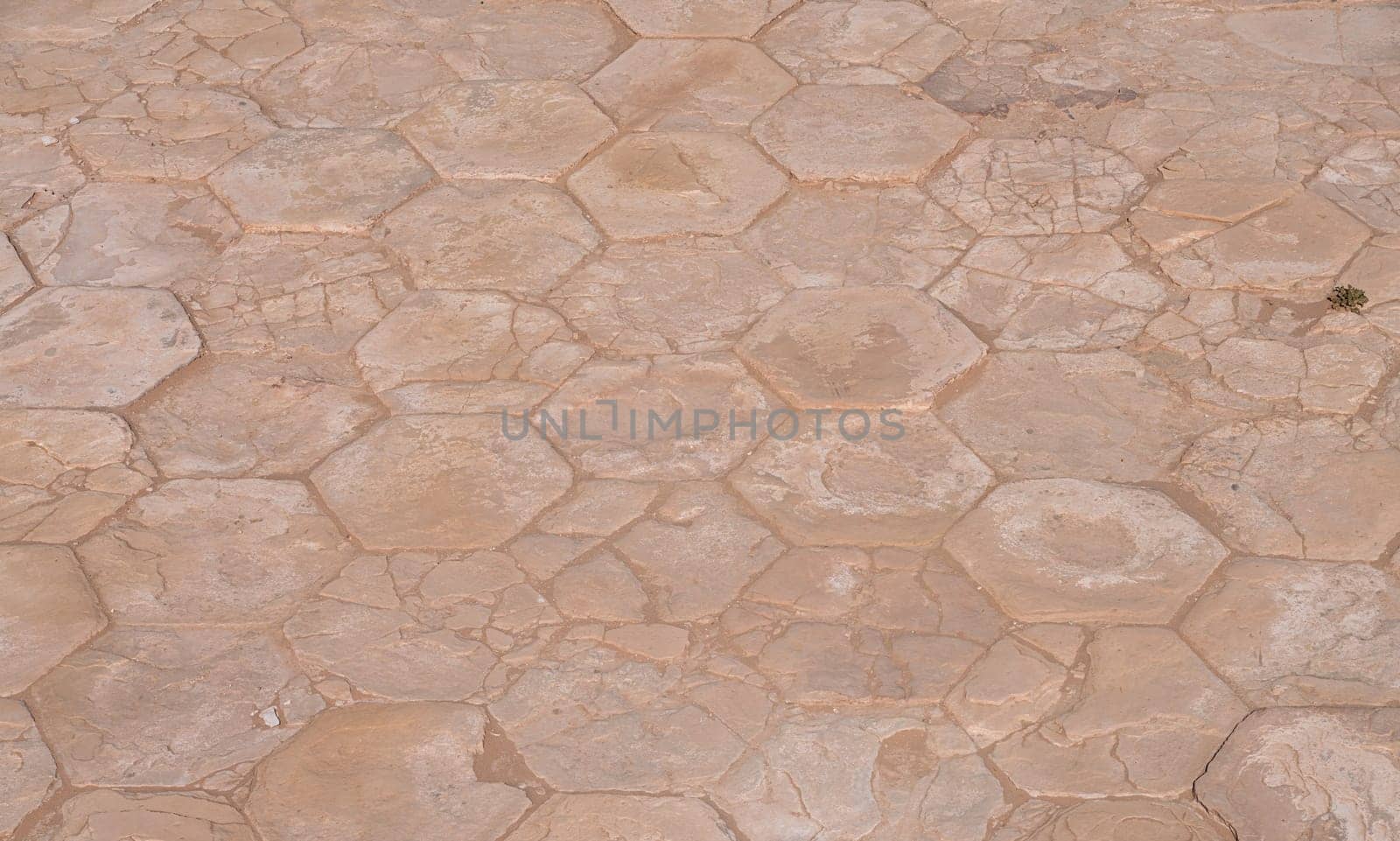 Hexagonal stones forming the floor of the Great Temple or Royal reception hall in Petra