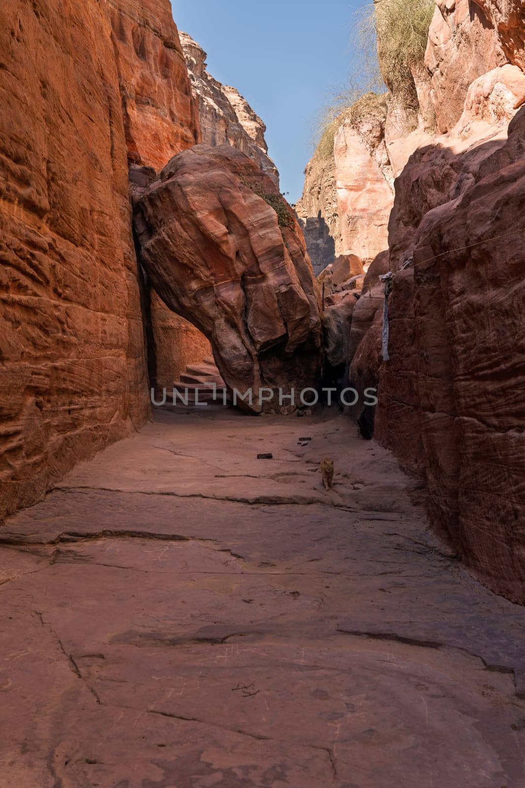 Narrow section of the trail to Ad Deir or the Monastery from Petra is 1.6km and 800 steps