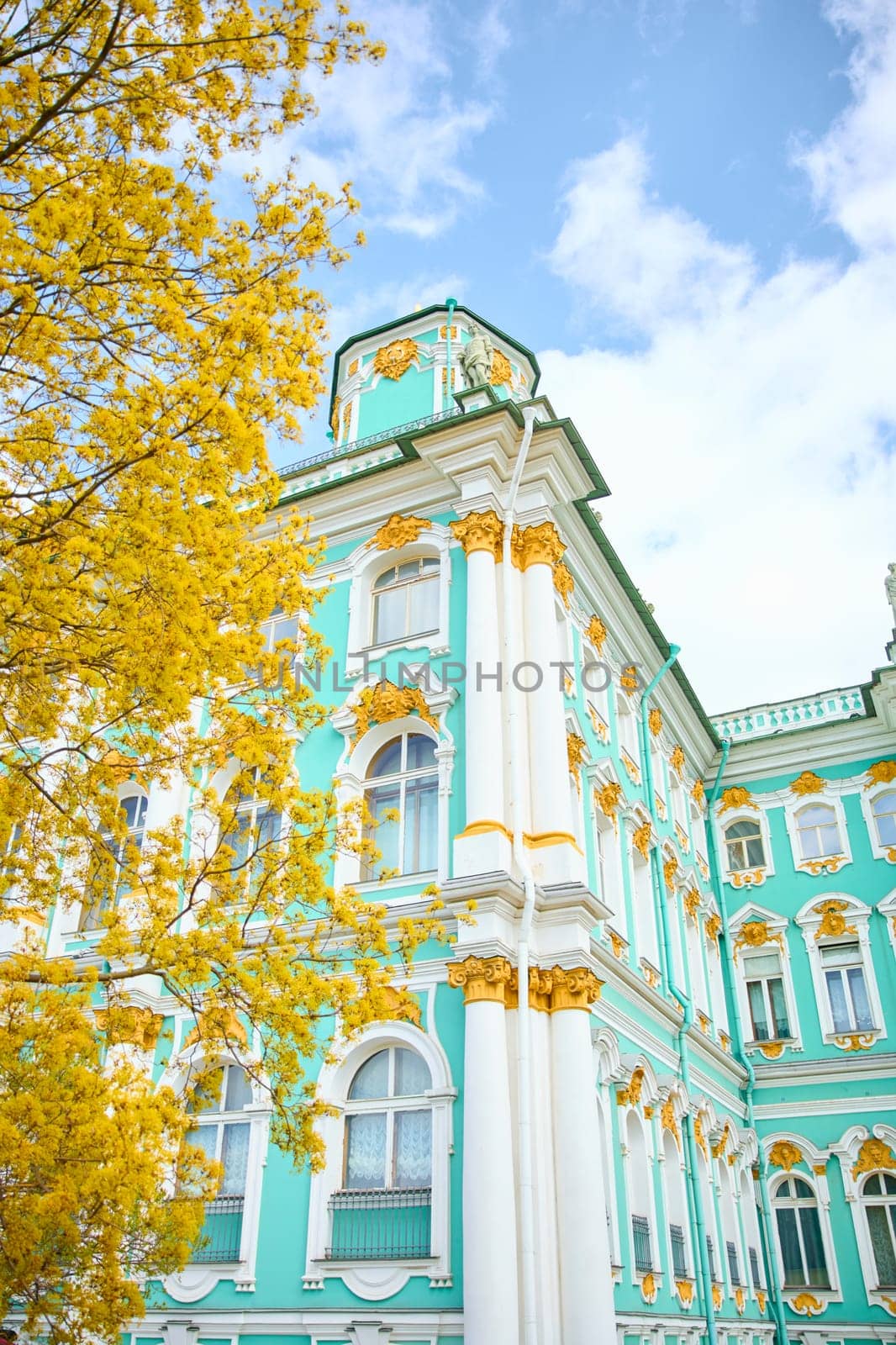the incredibly picturesque facade of the Winter Palace through the branches of trees on a clear spring day, the heritage of Russia, the most famous landmark of St. Petersburg, the museum. High quality photo