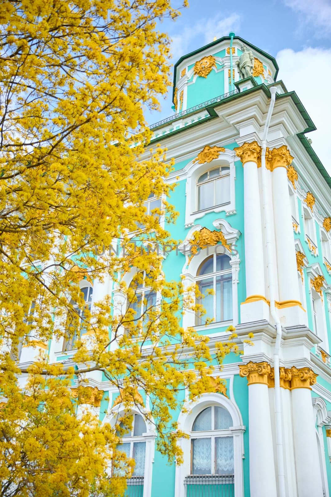 the incredibly picturesque facade of the Winter Palace through the branches of trees on a clear spring day, the heritage of Russia, the most famous landmark of St. Petersburg, the museum. High quality photo
