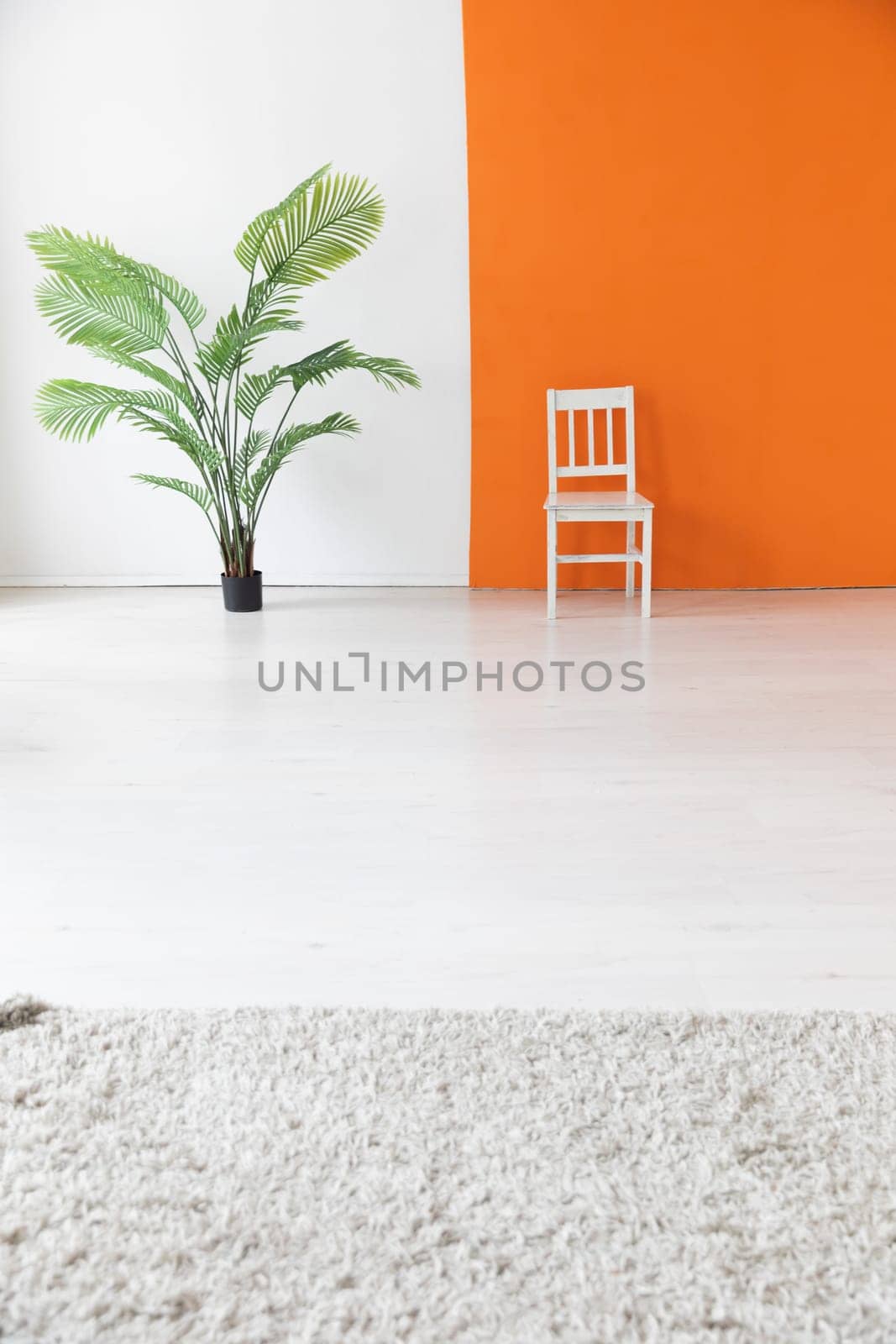 One chair and a green plant in the interior of a white and orange room