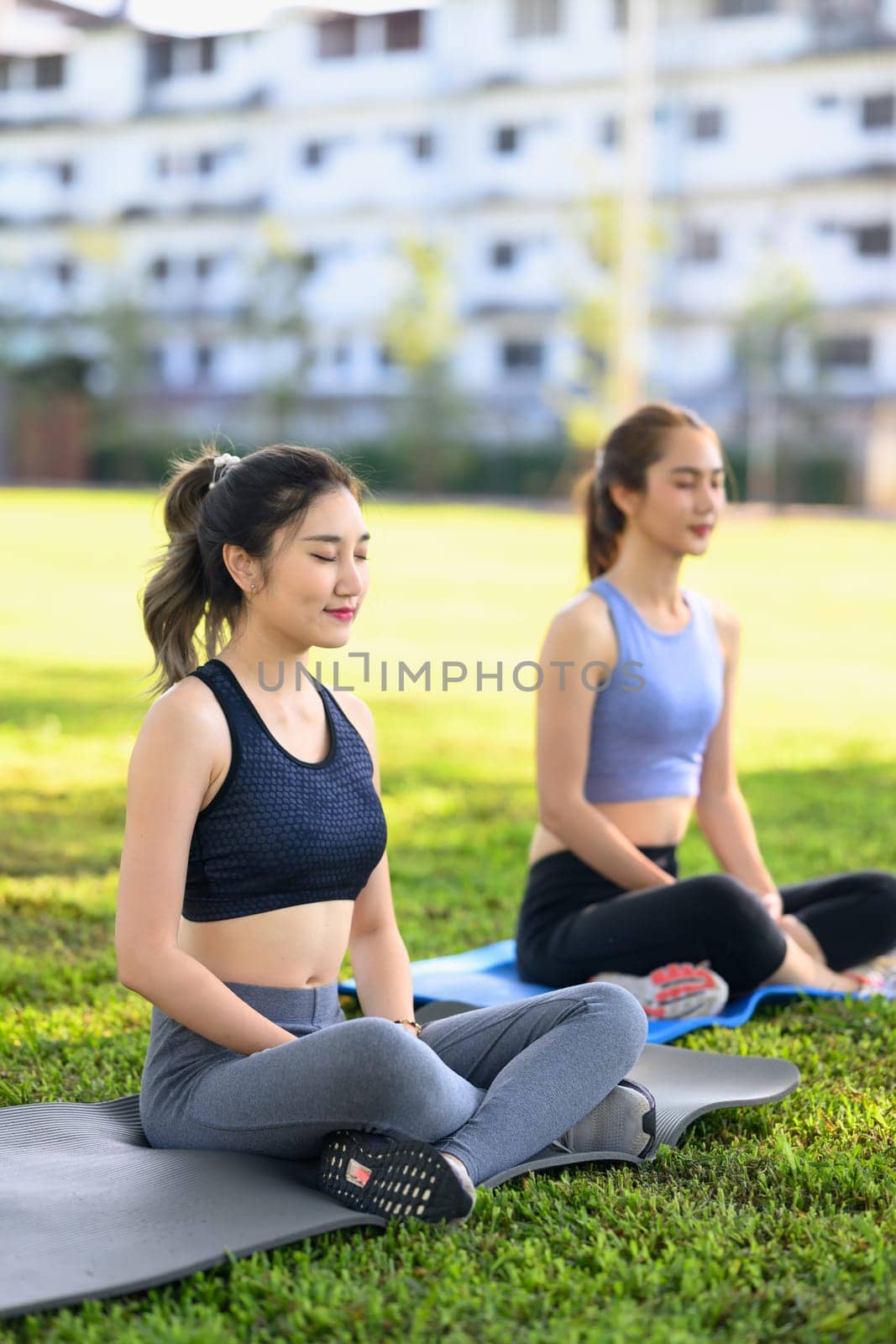 Female friends meditating during a tranquil yoga practice in a sunny park.