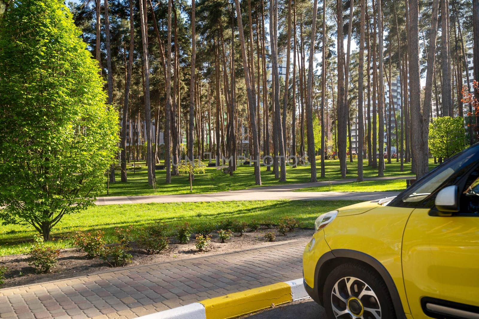 Yellow car in front of the park in the parking lot. Alleys of various trees in the city park on a clear day, in the sun's rays. Various trees grow in the public space, among the trees