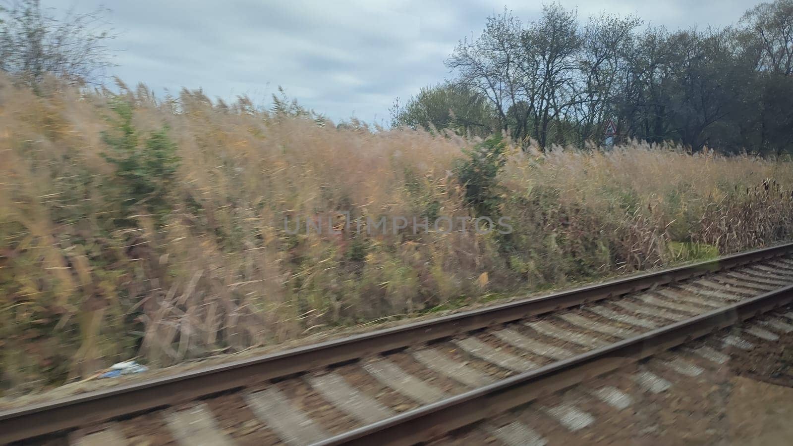 Railway tracks landscape train station road shotlisttravel travel tourism transport industry industrial platform place destination objects nature grass autumn background sky landscape . High quality photo