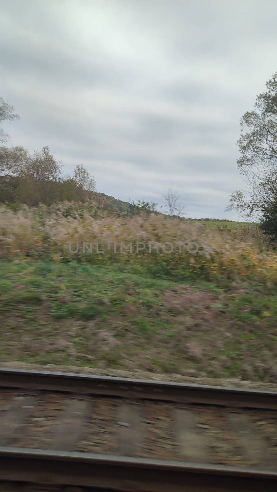 Railway tracks landscape train station road shotlisttravel travel tourism transport industry industrial platform place destination objects nature grass autumn background sky landscape . High quality photo motion