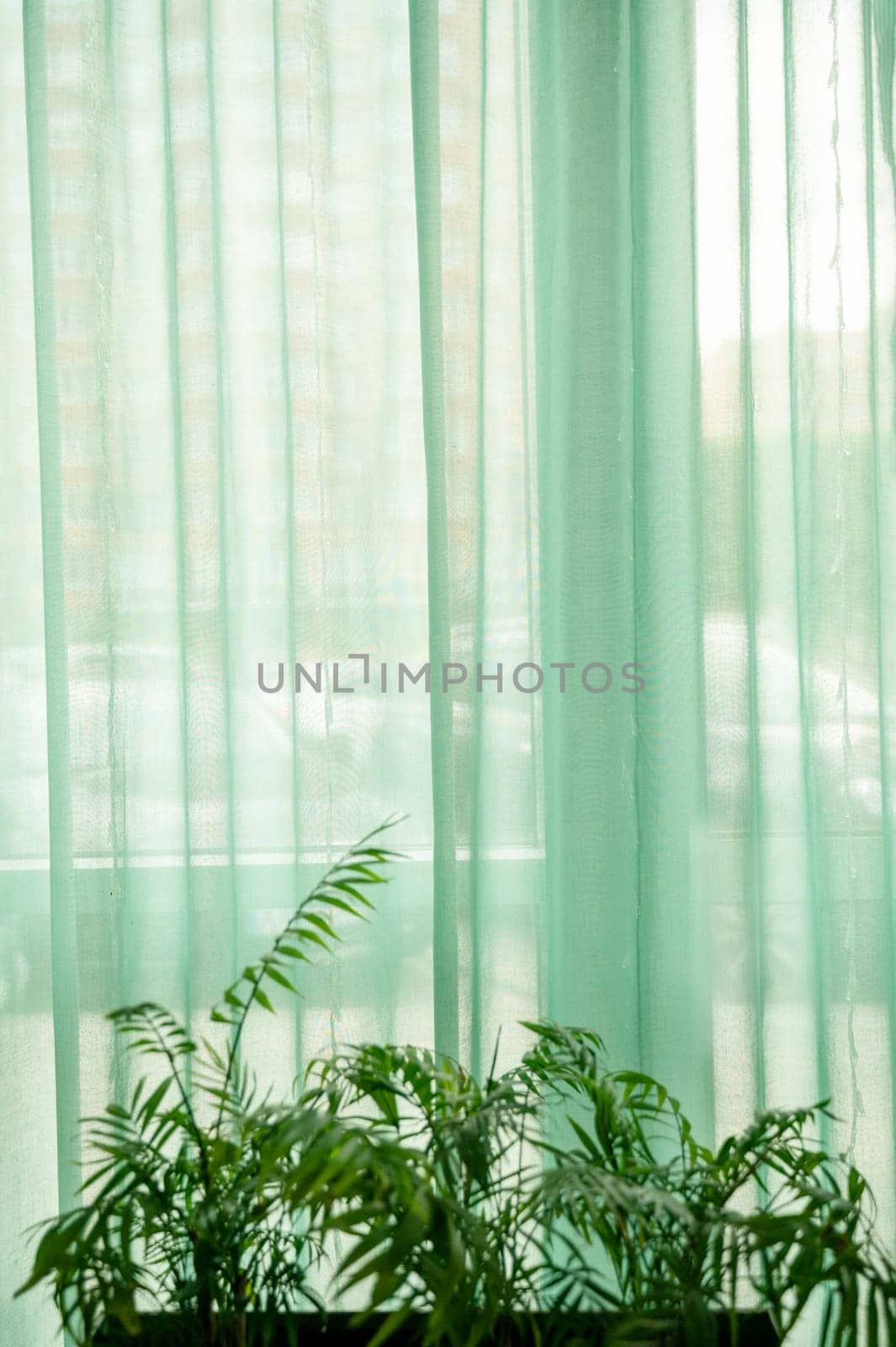 Light curtain, green color, indoor plants grow on the windowsill. The curtain creates a refreshing atmosphere