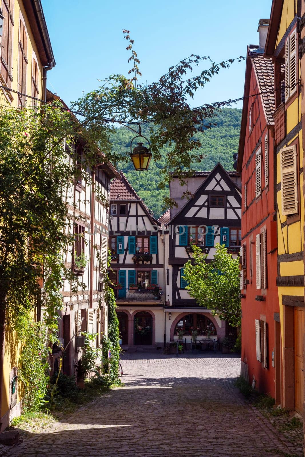 A narrow street with a tree in the middle and a building on the right. The street is lined with houses and has a cobblestone path, Alsace, France
