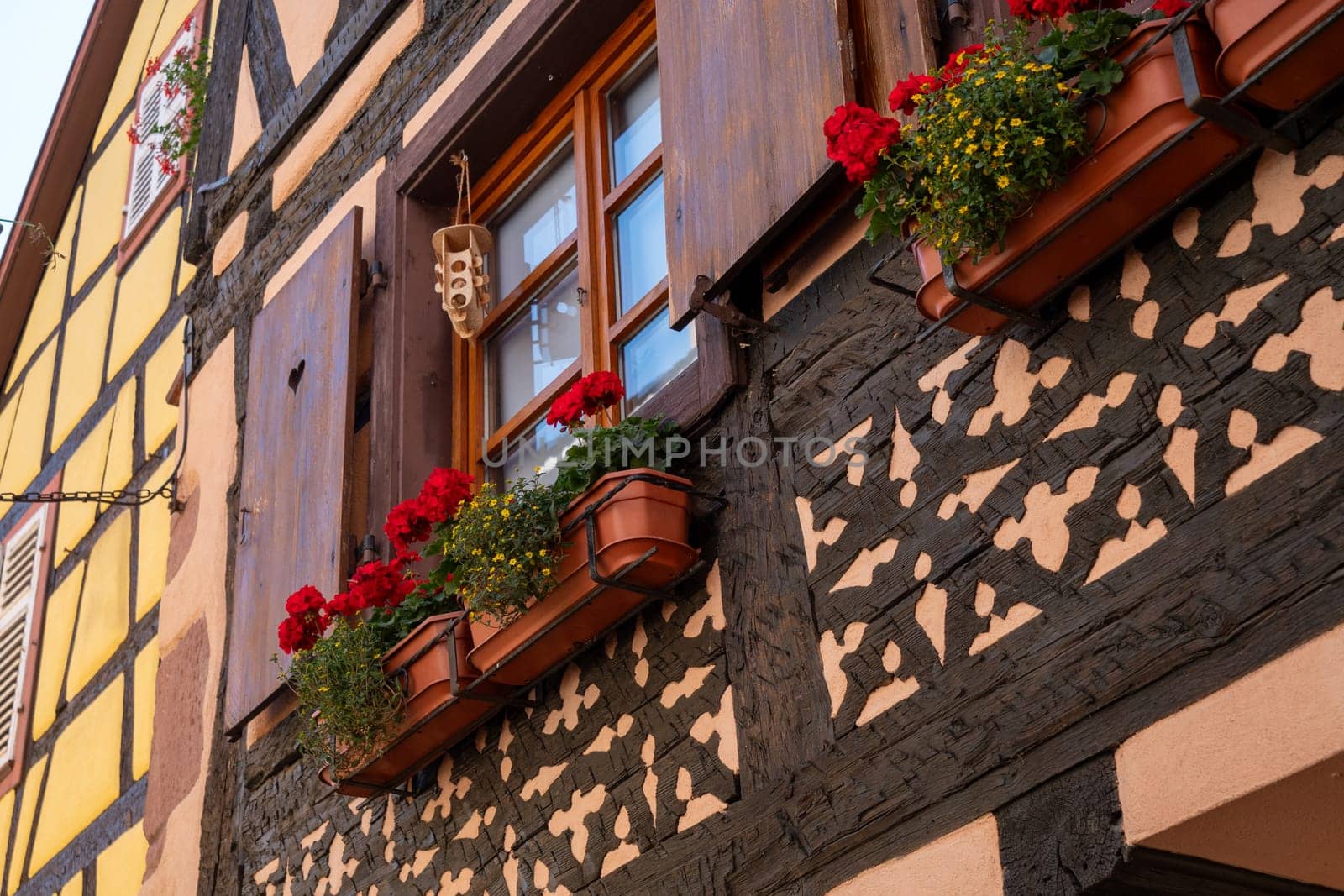 A window with a view of a building and a potted plant with red flowers. The potted plant has a variety of flowers, including red roses, Alsace, France
