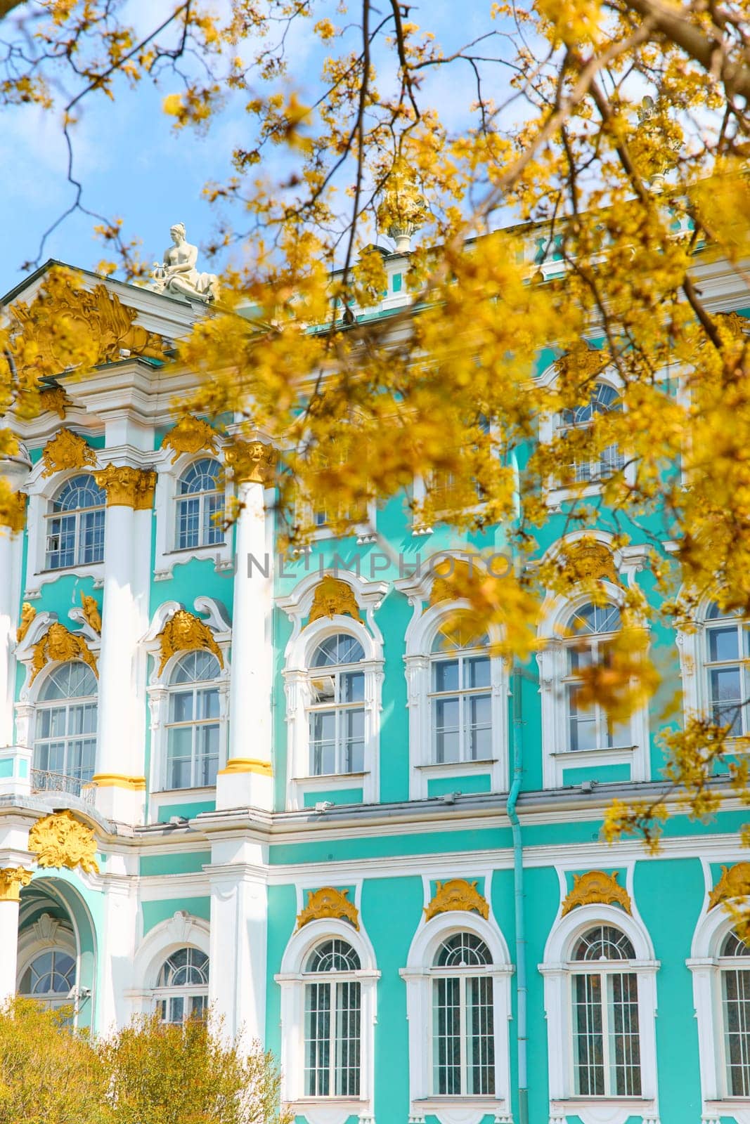 the incredibly picturesque facade of the Winter Palace through the branches of trees on a clear spring day, the heritage of Russia, the most famous landmark of St. Petersburg, the museum. High quality photo