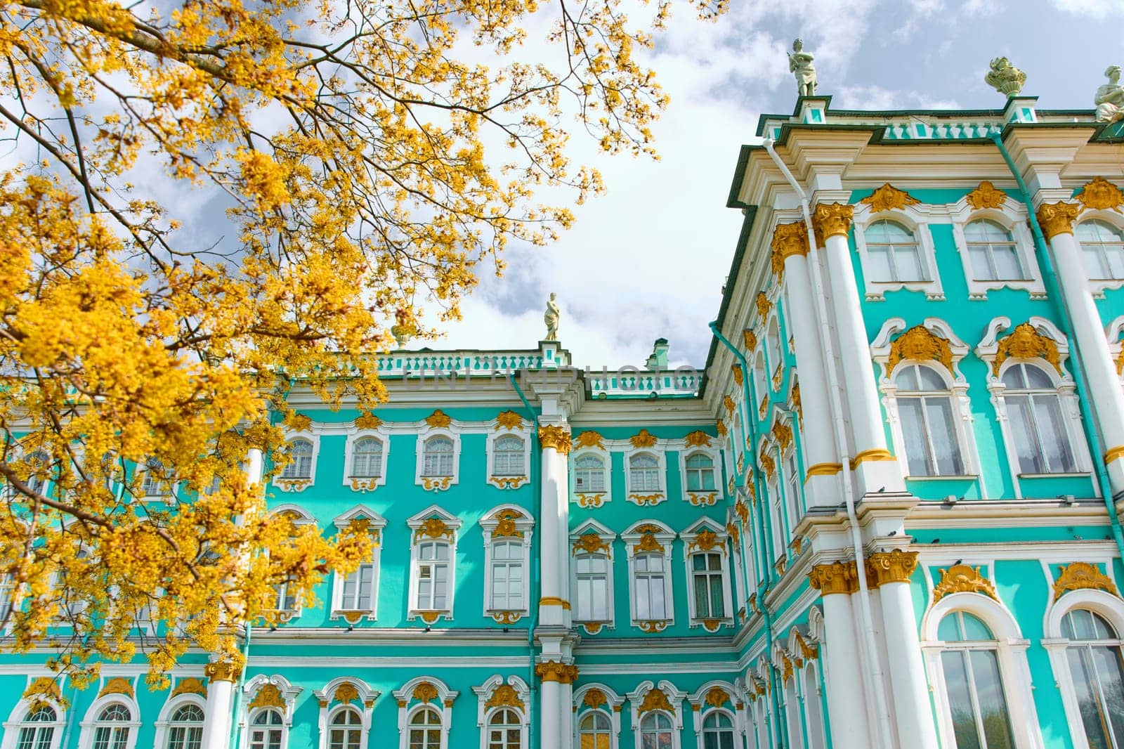the incredibly picturesque facade of the Winter Palace through the branches of trees on a clear spring day, the heritage of Russia, the most famous landmark of St. Petersburg, the museum. High quality photo