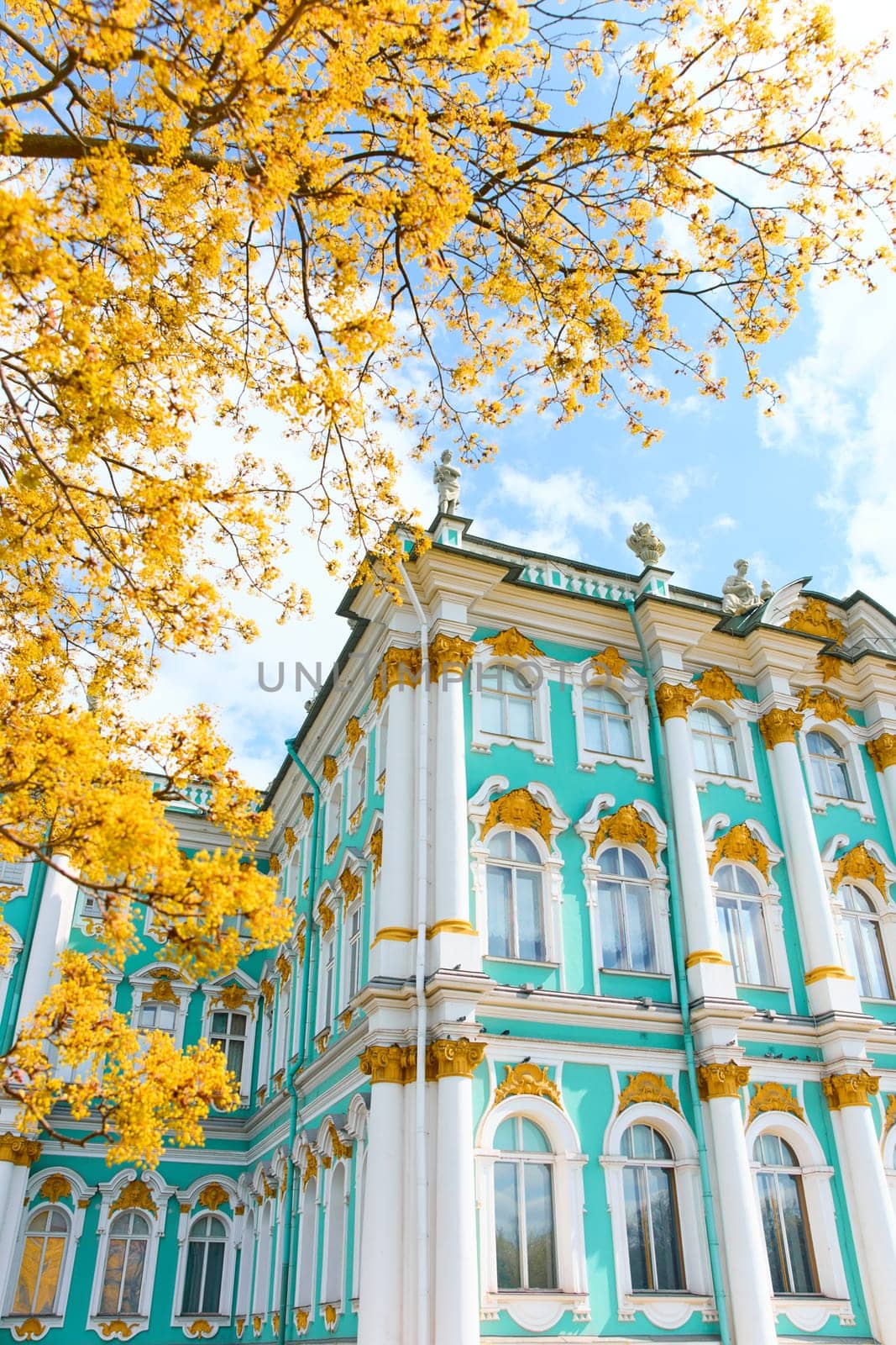 the incredibly picturesque facade of the Winter Palace through the branches of trees on a clear spring day, the heritage of Russia, the most famous landmark of St. Petersburg, the museum. High quality photo