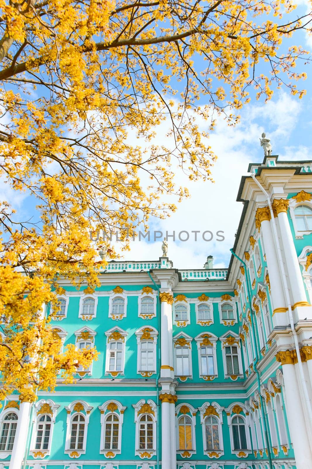 the incredibly picturesque facade of the Winter Palace through the branches of trees on a clear spring day, the heritage of Russia, the most famous landmark of St. Petersburg, the museum. High quality photo