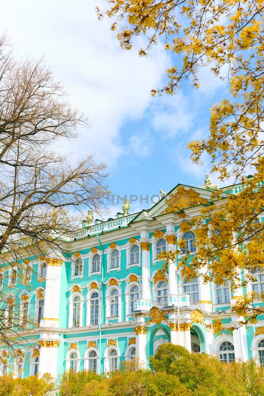 the incredibly picturesque facade of the Winter Palace through the branches of trees on a clear spring day, the heritage of Russia, the most famous landmark of St. Petersburg, the museum. High quality photo