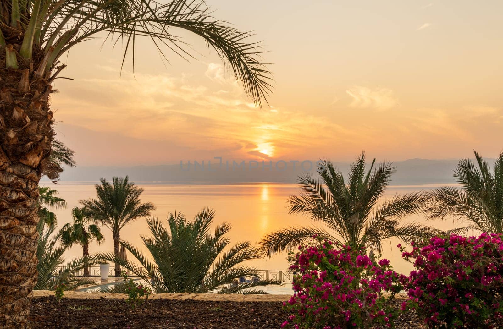 Flowers and palm tree frame the sunset over the Dead Sea in Jordan with Israel in the distance