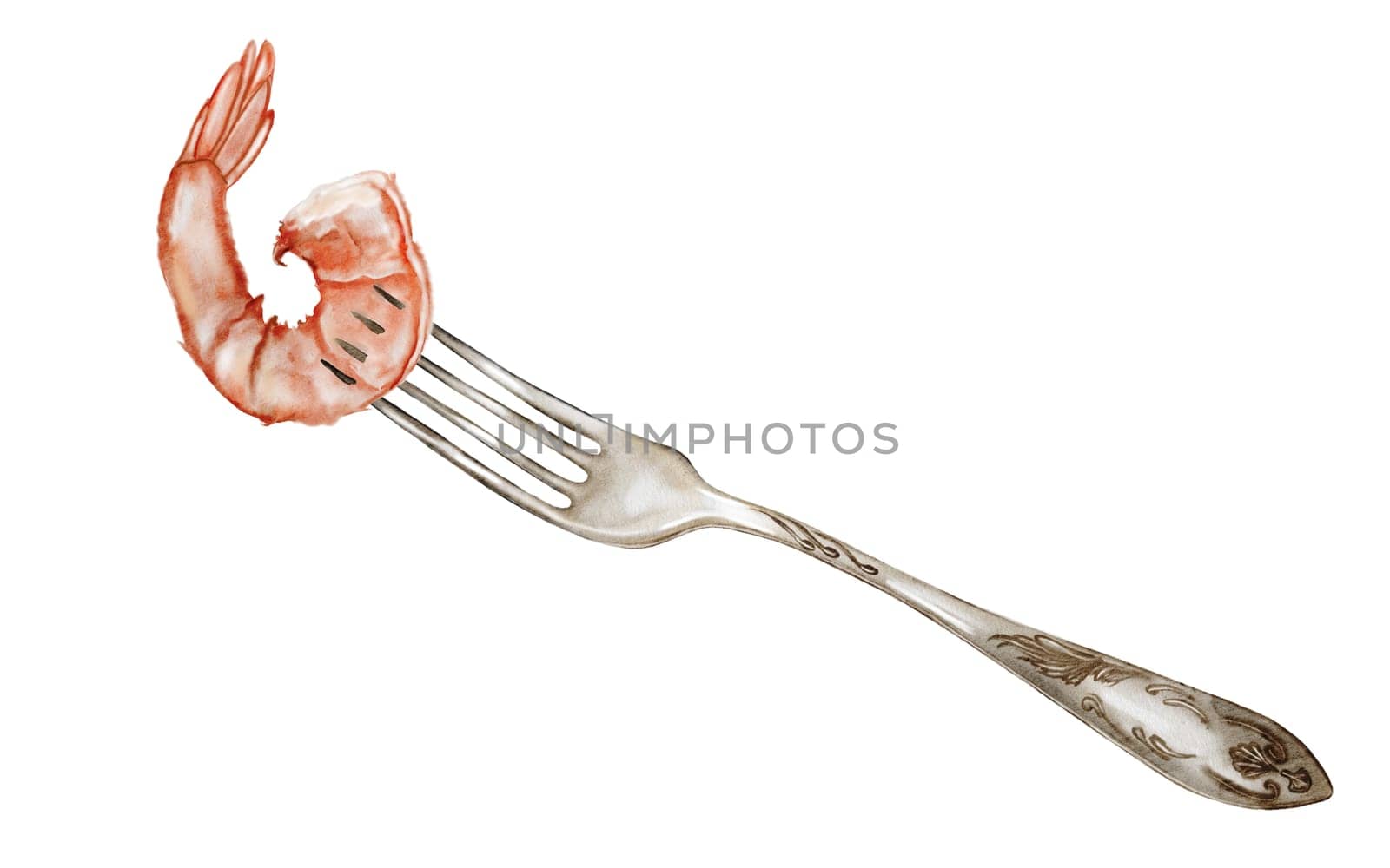 Shrimp watercolor. Hand drawn crustacean on a fork on isolated white background. Food clip art. Ideal for restaurant menus, product packaging and cookbook design. High quality illustration