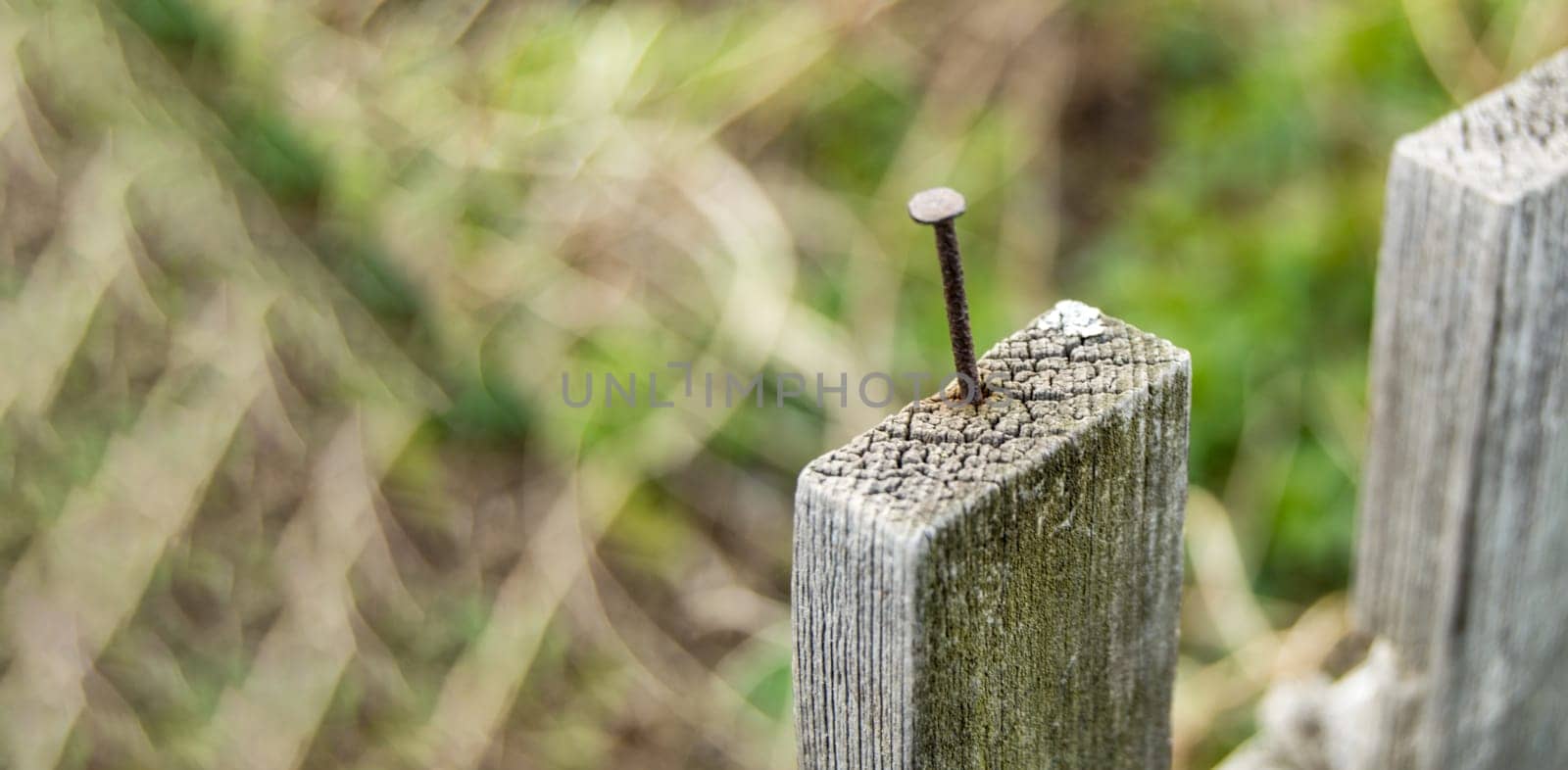 Close-up of an old wooden fence with a nail sticking out, outdoors on a summer day.
