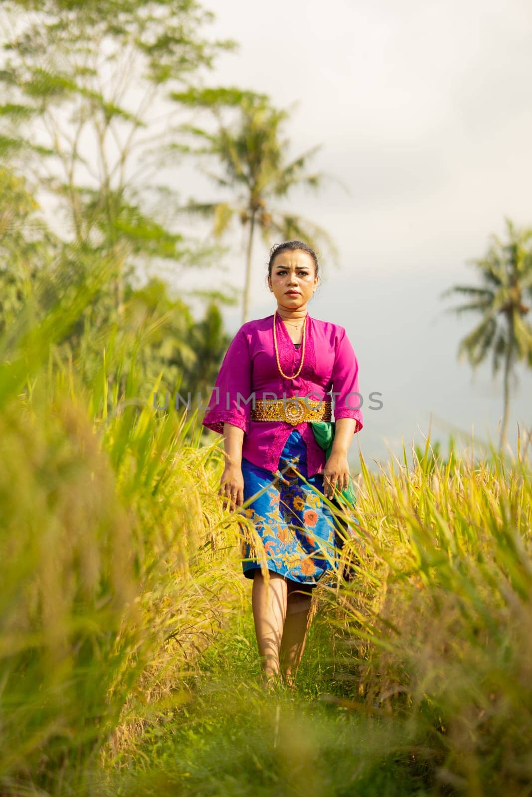 Balinese woman in a purple dress standing between the green rice field in the daylight