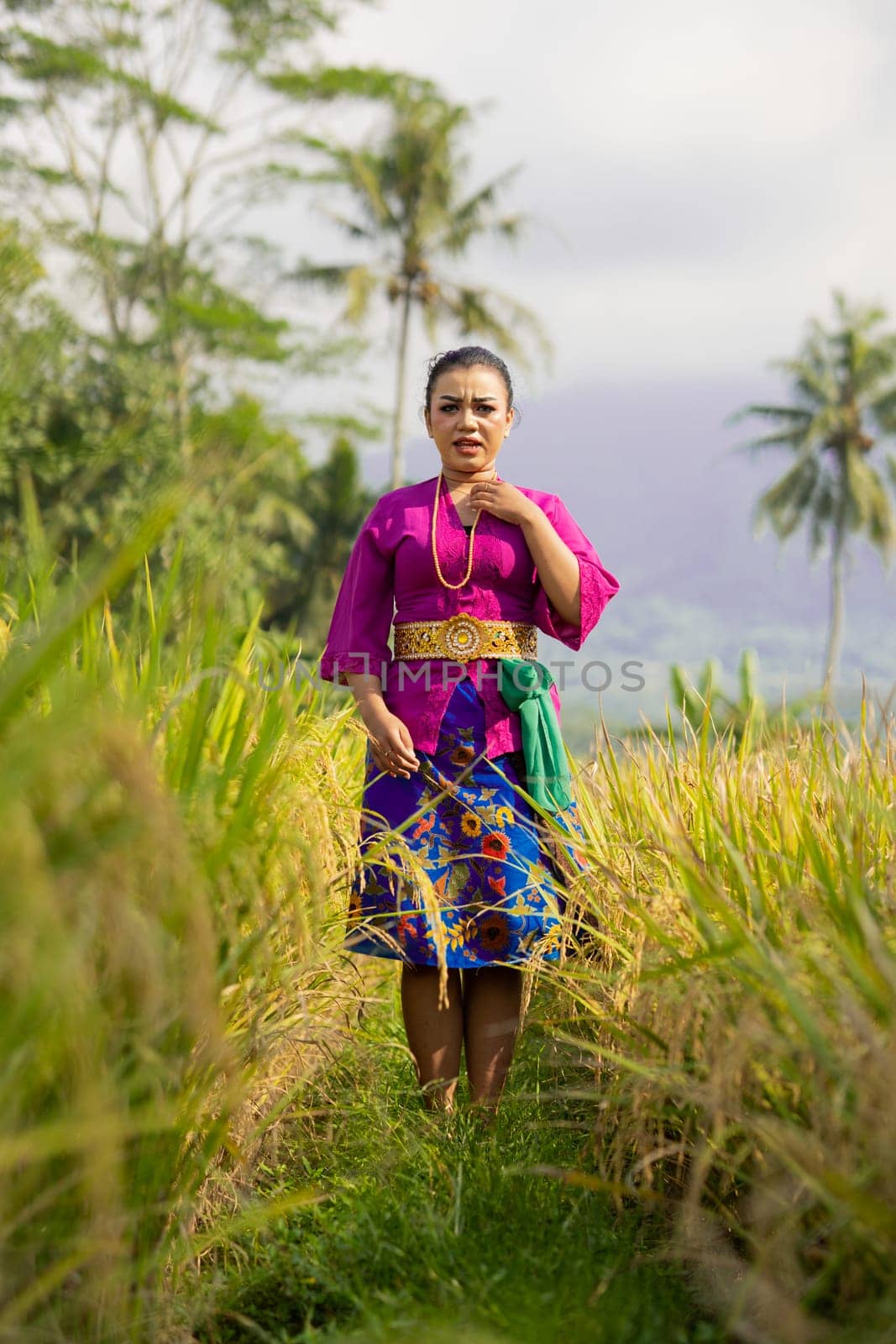 Balinese woman in a purple dress standing between the green rice field in the daylight