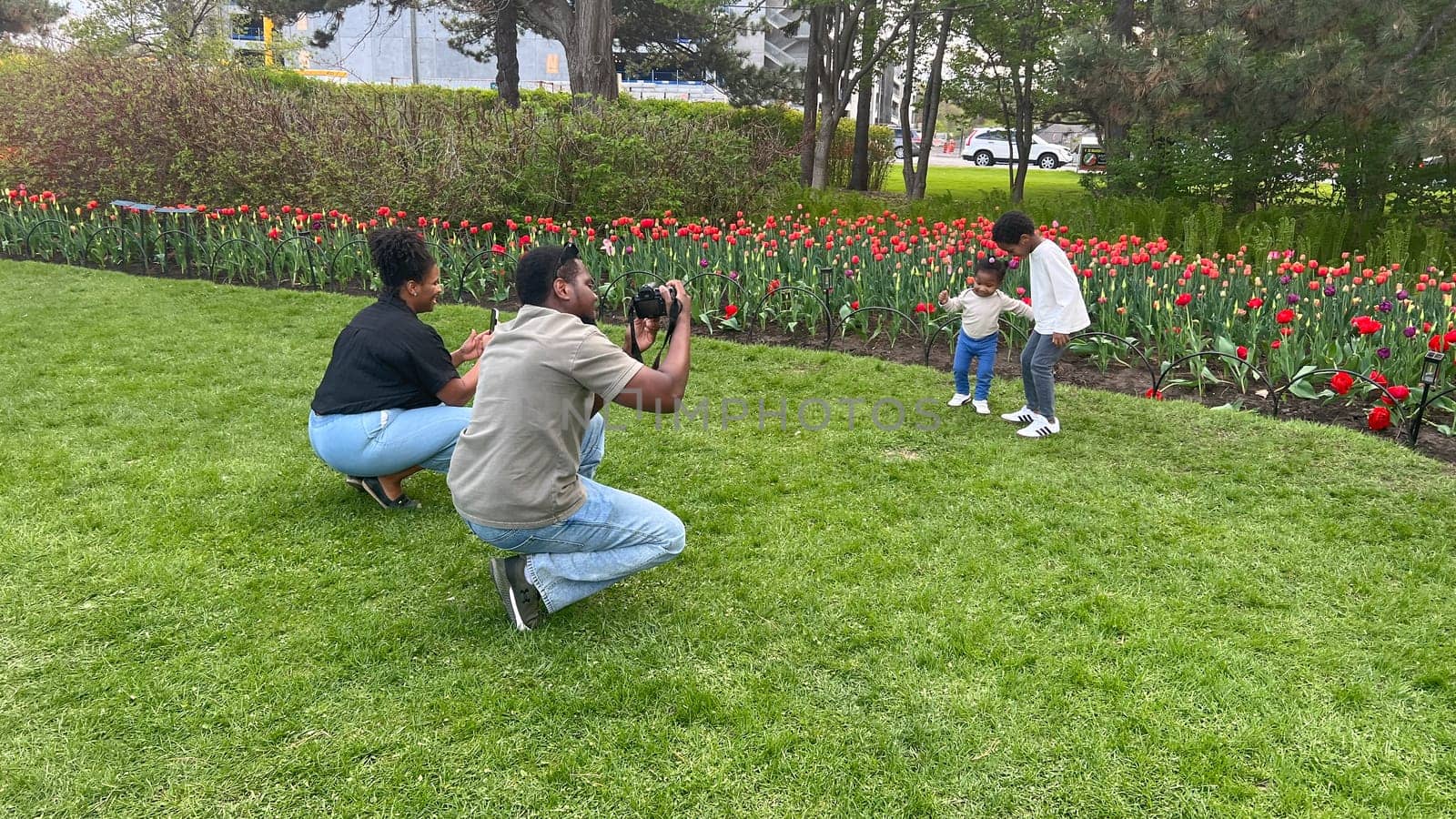 Ottawa, Canada - May 09, 2025: African American family enjoying a sunny day in a park, capturing joyful moments with a camera, Tulip festival and lush green grass, showcasing love and togetherness.