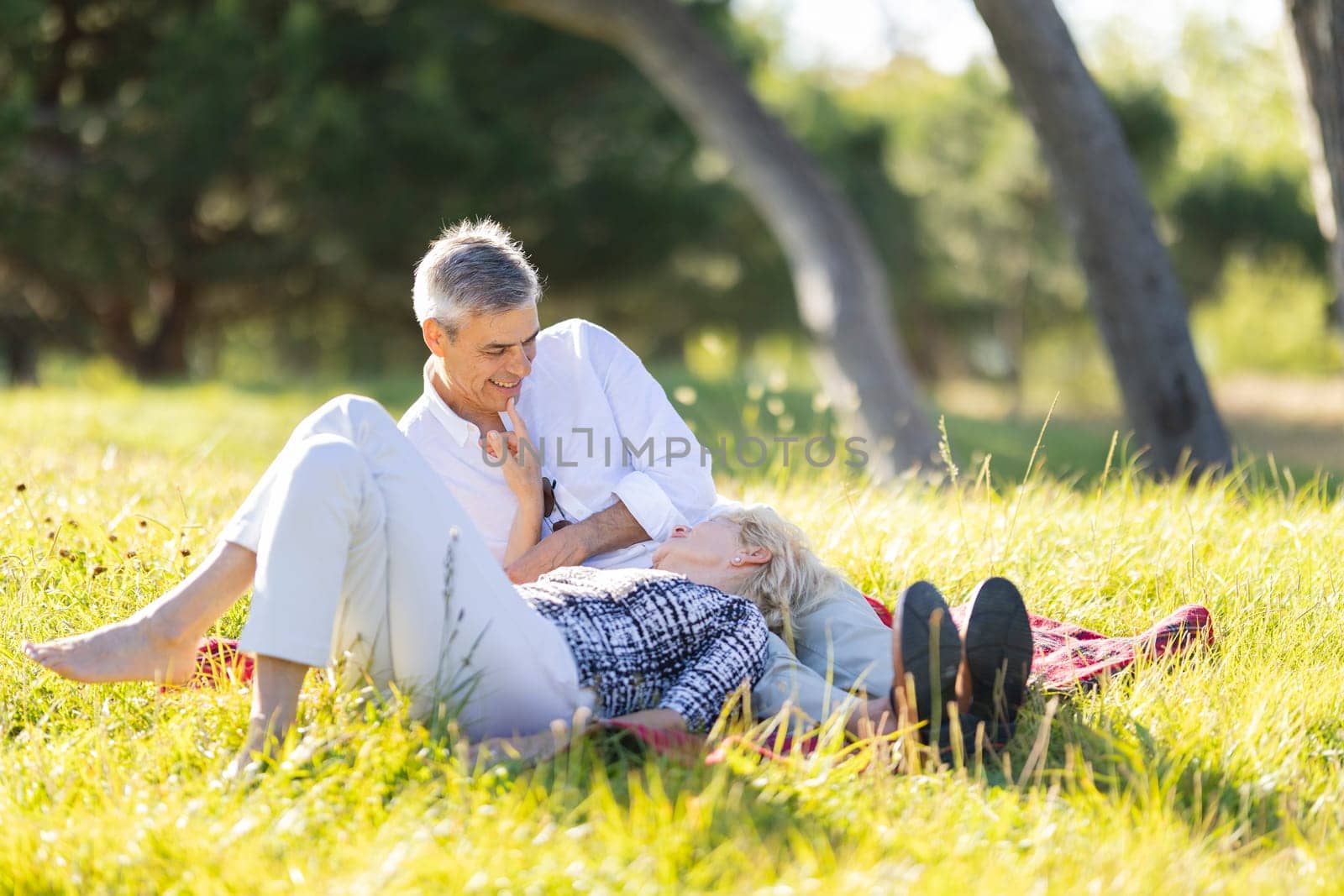 Happy retired couple enjoying a romantic picnic in a park, sharing intimate moments and love in their golden years
