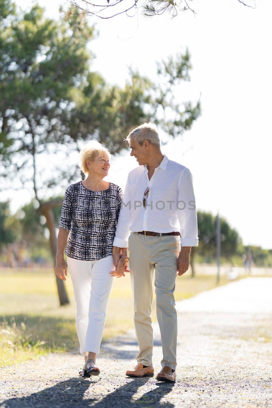Smiling senior couple holding hands and walking along a path in a park