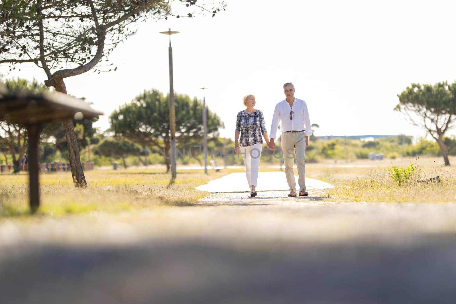 Happy retired couple enjoying a walk in a park on a sunny day