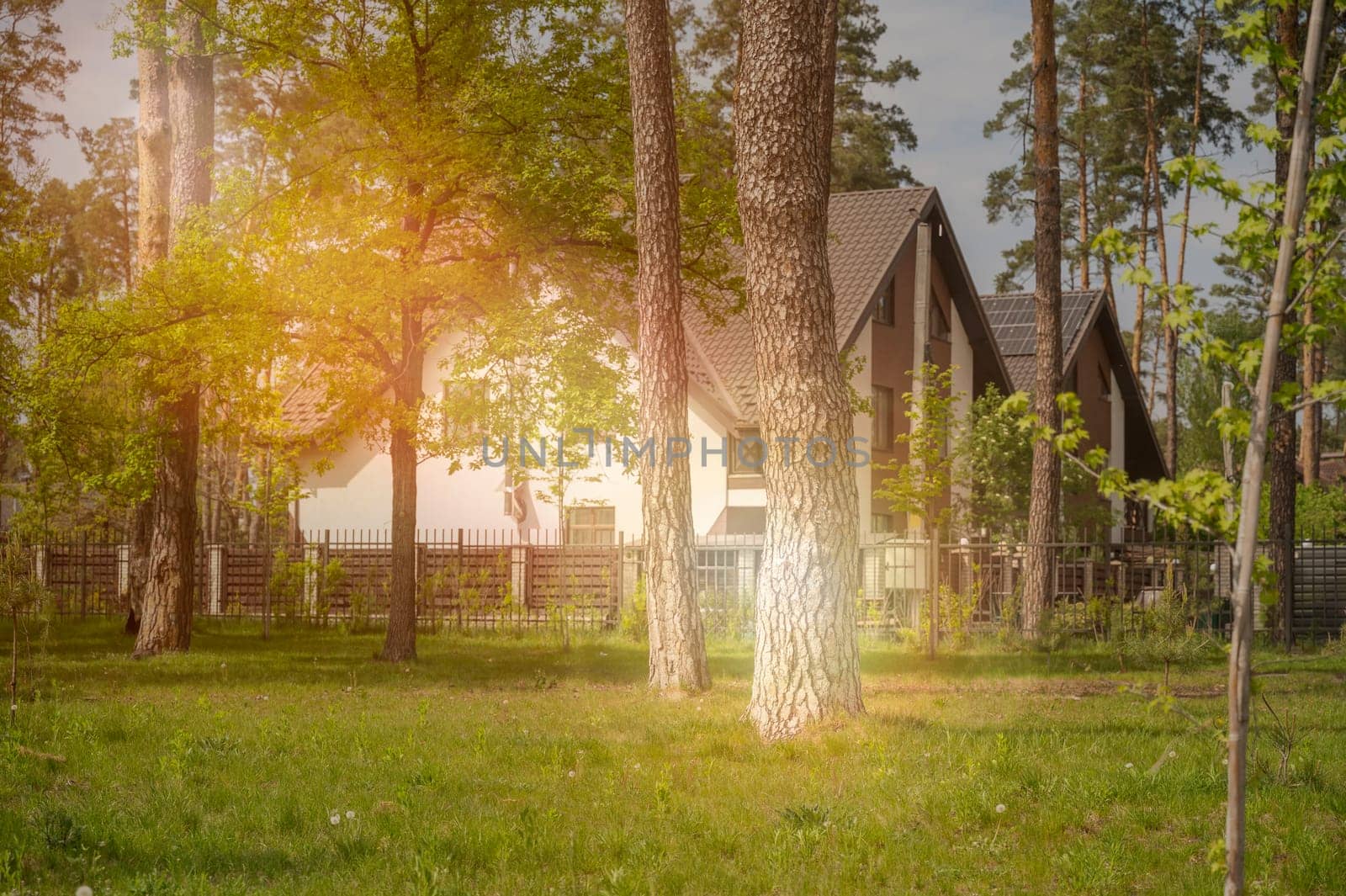 White residential houses in the village surrounded by pine forest in the bright rays of the setting sun. Various trees around the house. Lawn in the park. House in a nature reserve, forest