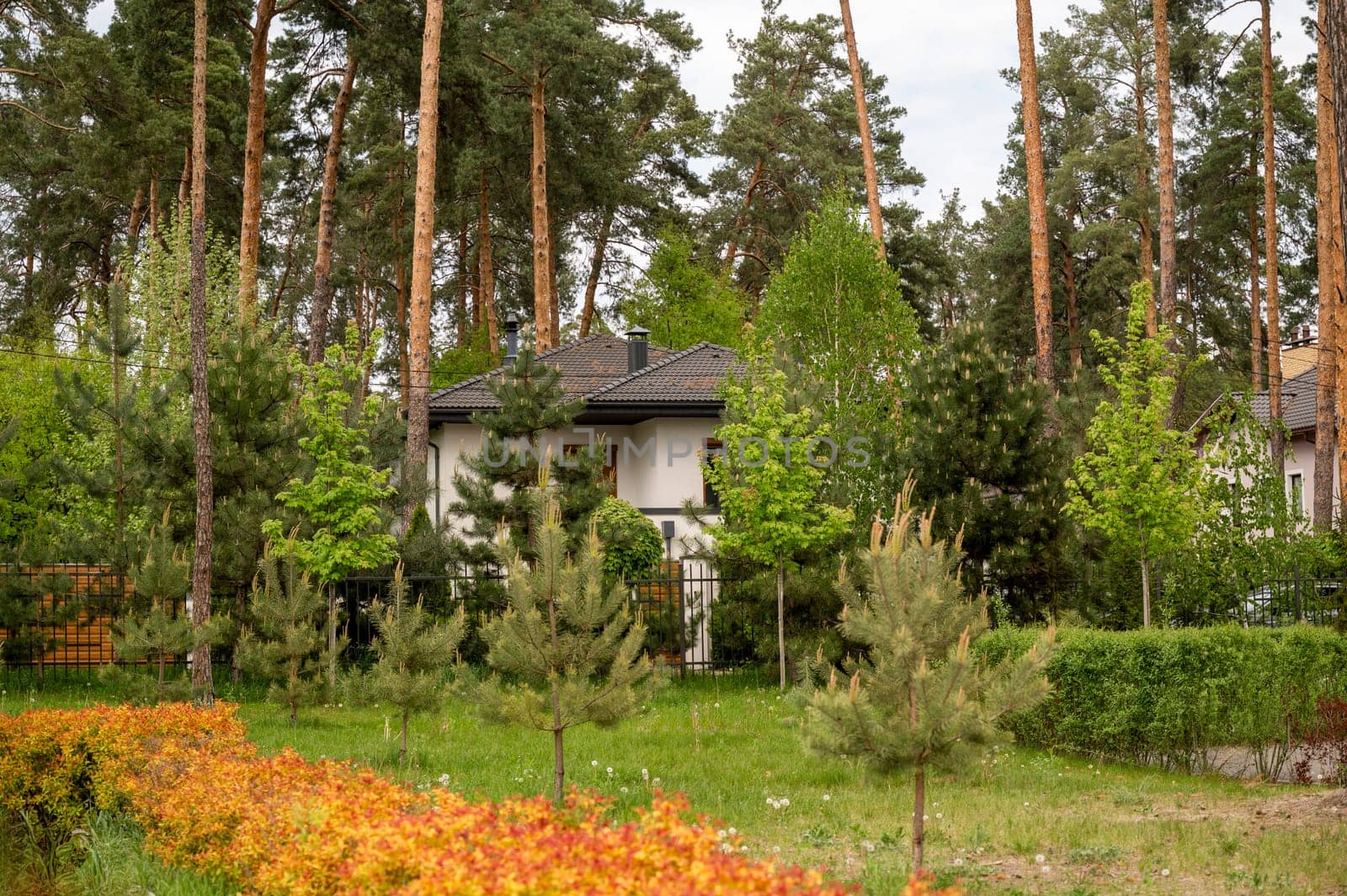 White facade of the building surrounded by dense trees. Various trees around the house, pines, deciduous trees, lawn, bushes. House in a protected area, forest, park. High-quality photo