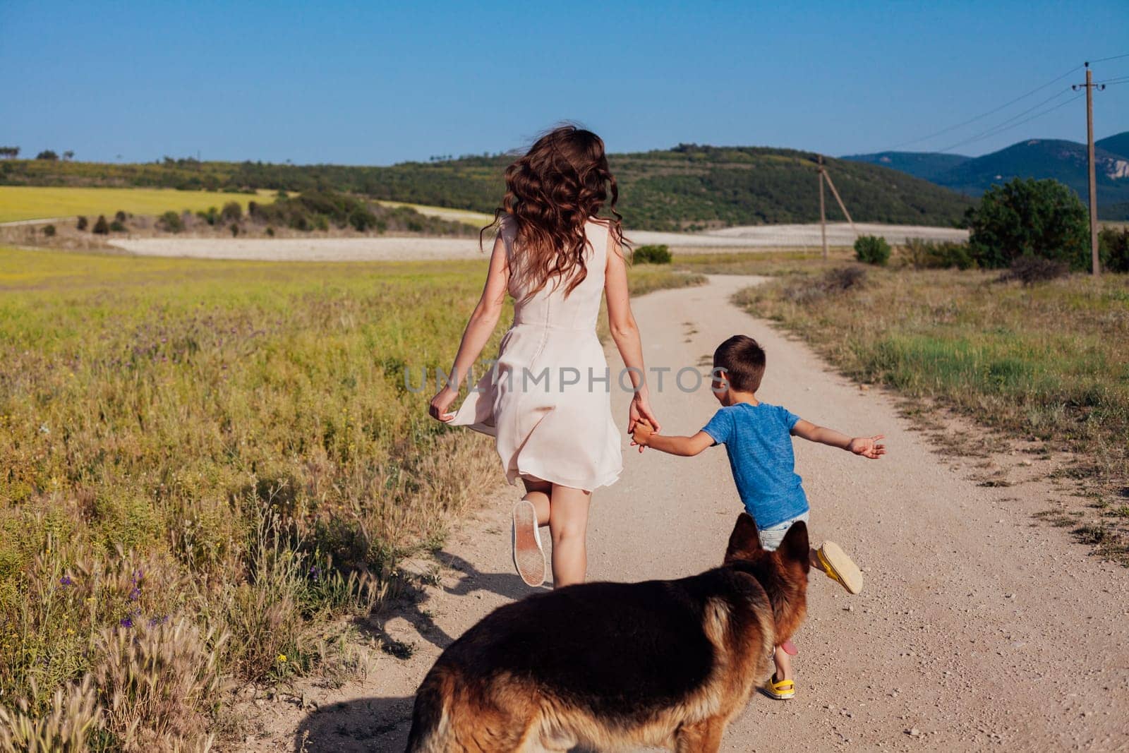 Mother with little son and dog walking in rural field in summer by road