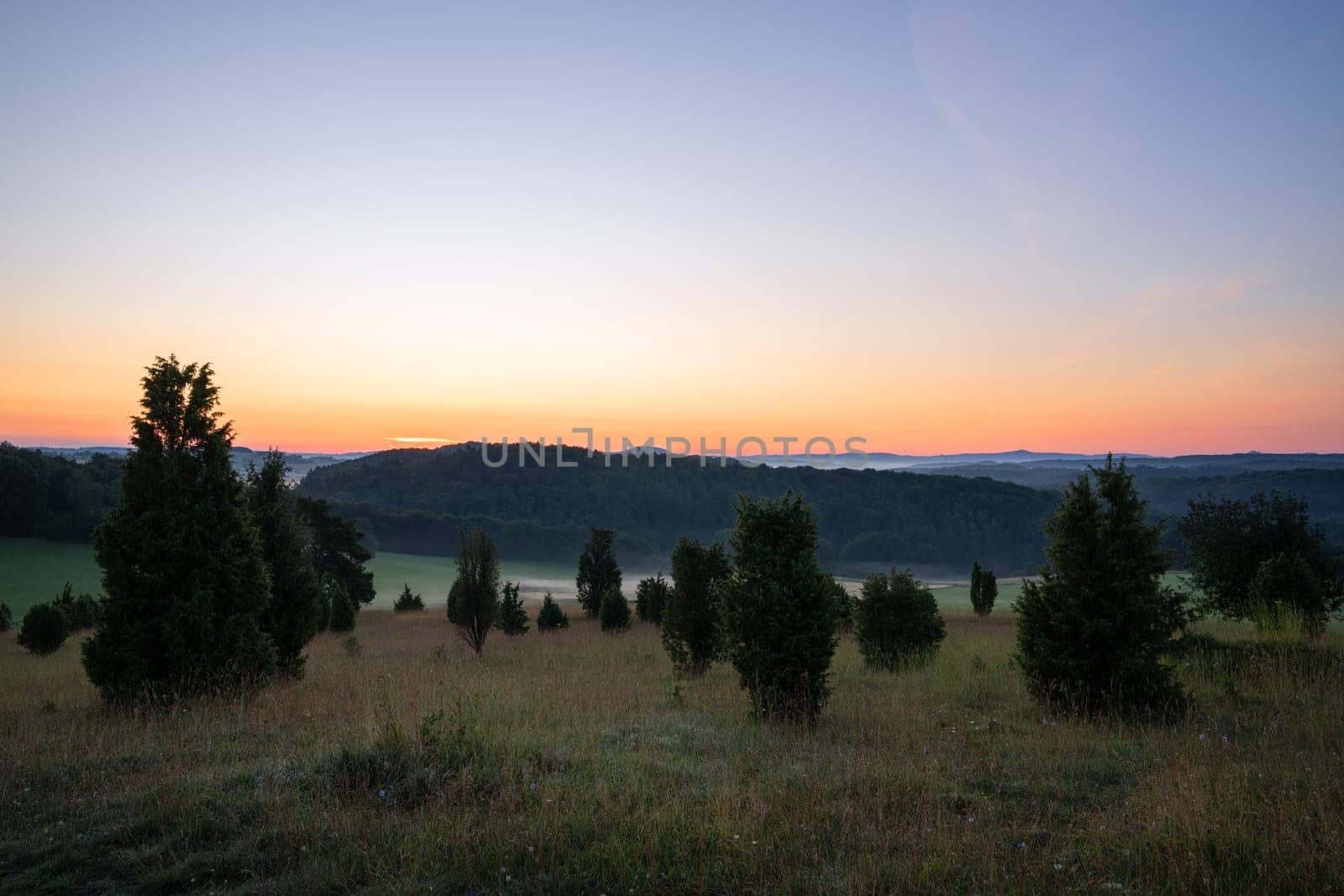 Panoramic image of summer landscape within the Eifel close to Blankenheim during sunrise, North Rhine Westphalia, Germany