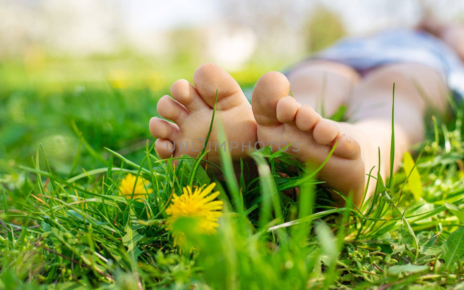 child feet in a garden with dandelions. Selective focus. kid,
