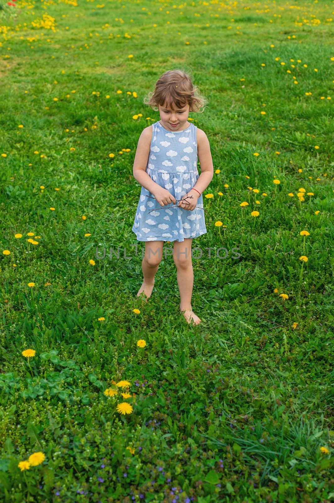 Child in the garden with a bouquet of dandelions. Selective focus. Kid.